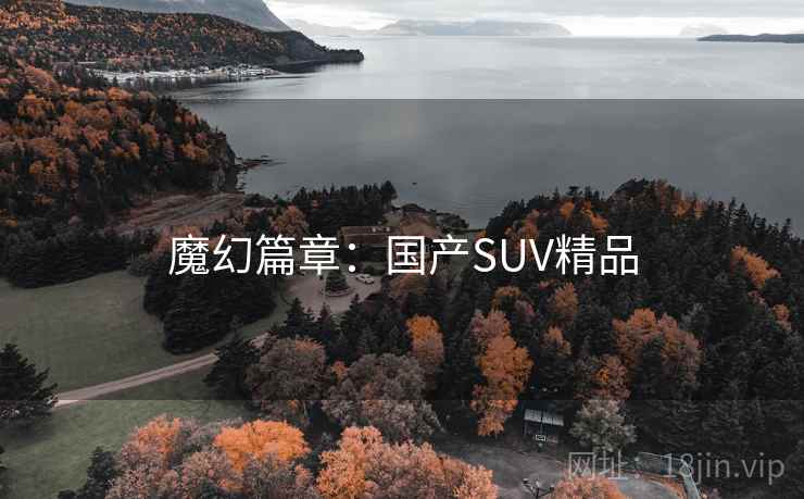 魔幻篇章：国产SUV精品
