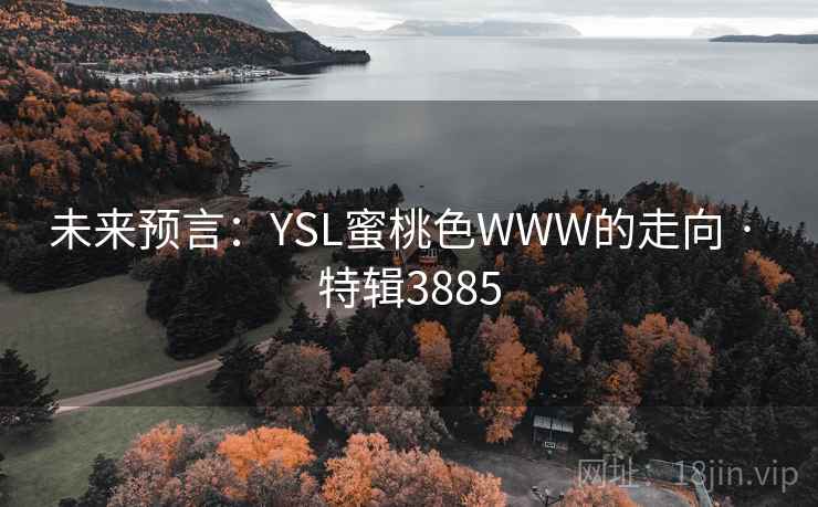 未来预言：YSL蜜桃色WWW的走向 · 特辑3885
