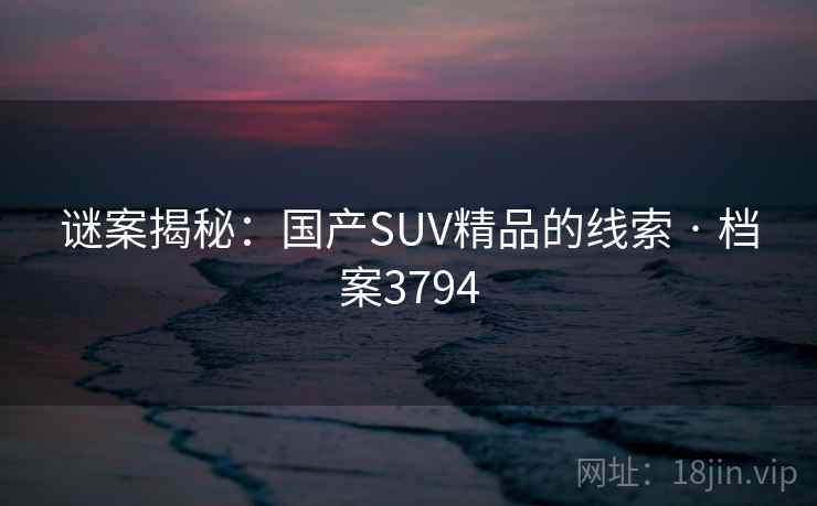 谜案揭秘：国产SUV精品的线索 · 档案3794