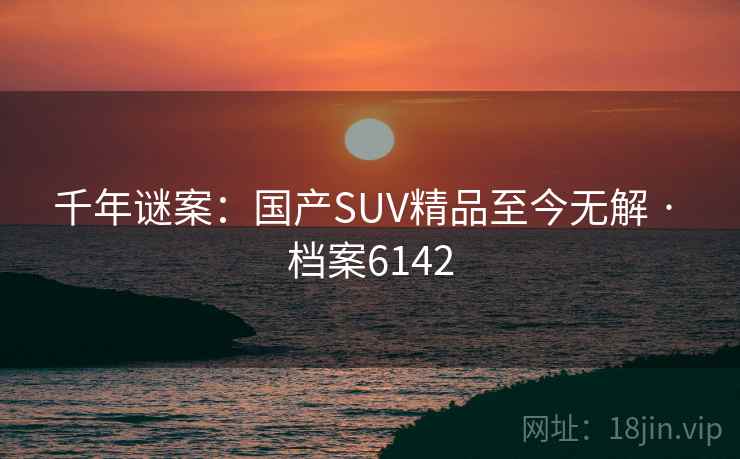 千年谜案：国产SUV精品至今无解 · 档案6142