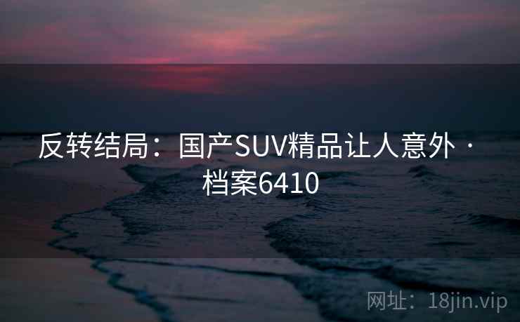 反转结局:国产SUV精品让人意外 · 档案6410