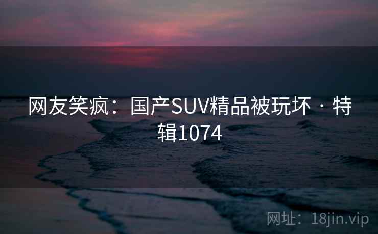 网友笑疯：国产SUV精品被玩坏 · 特辑1074
